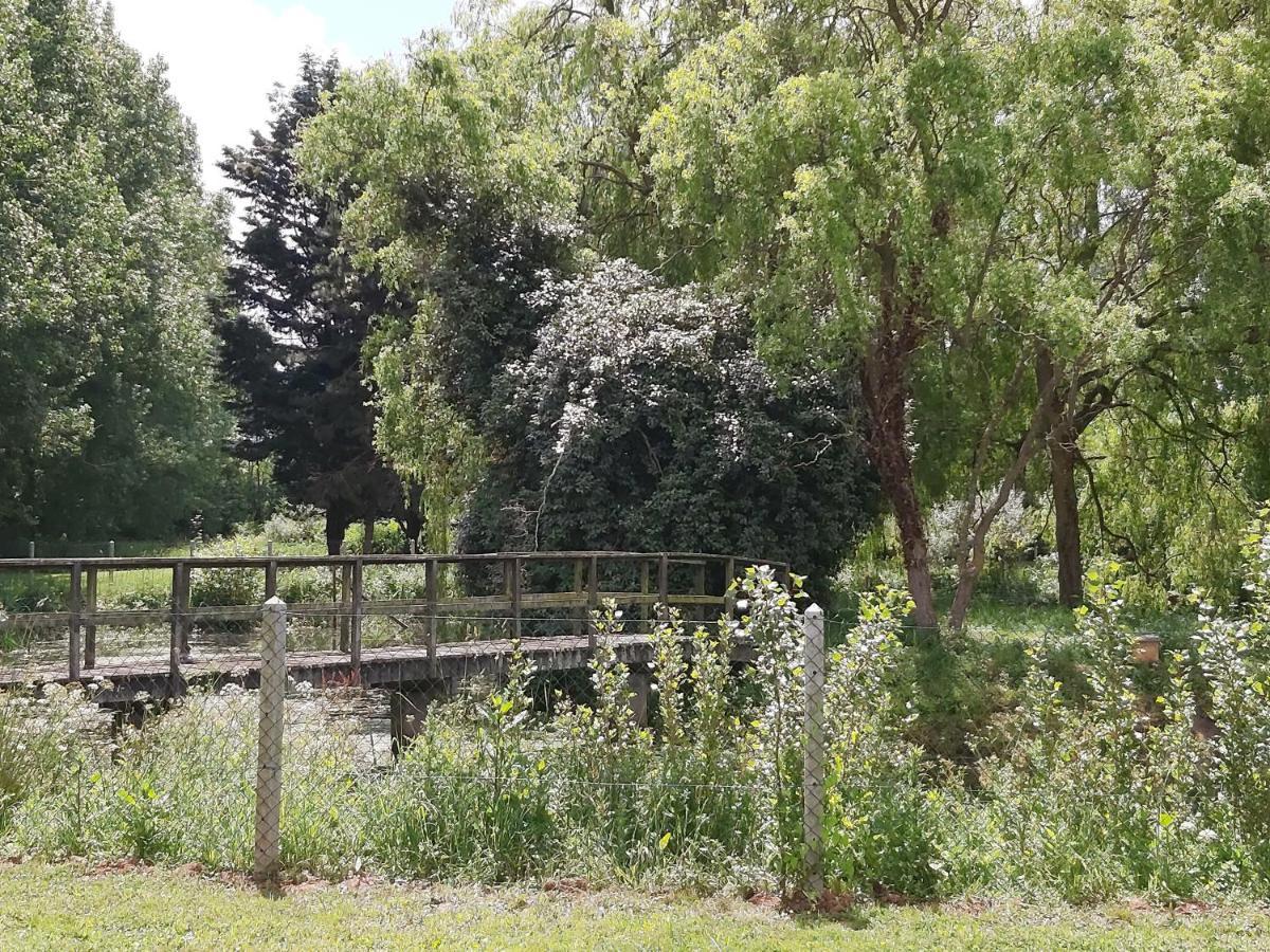Le Bonheur Des Plumes Bed & Breakfast Montmartin-en-Graignes ภายนอก รูปภาพ