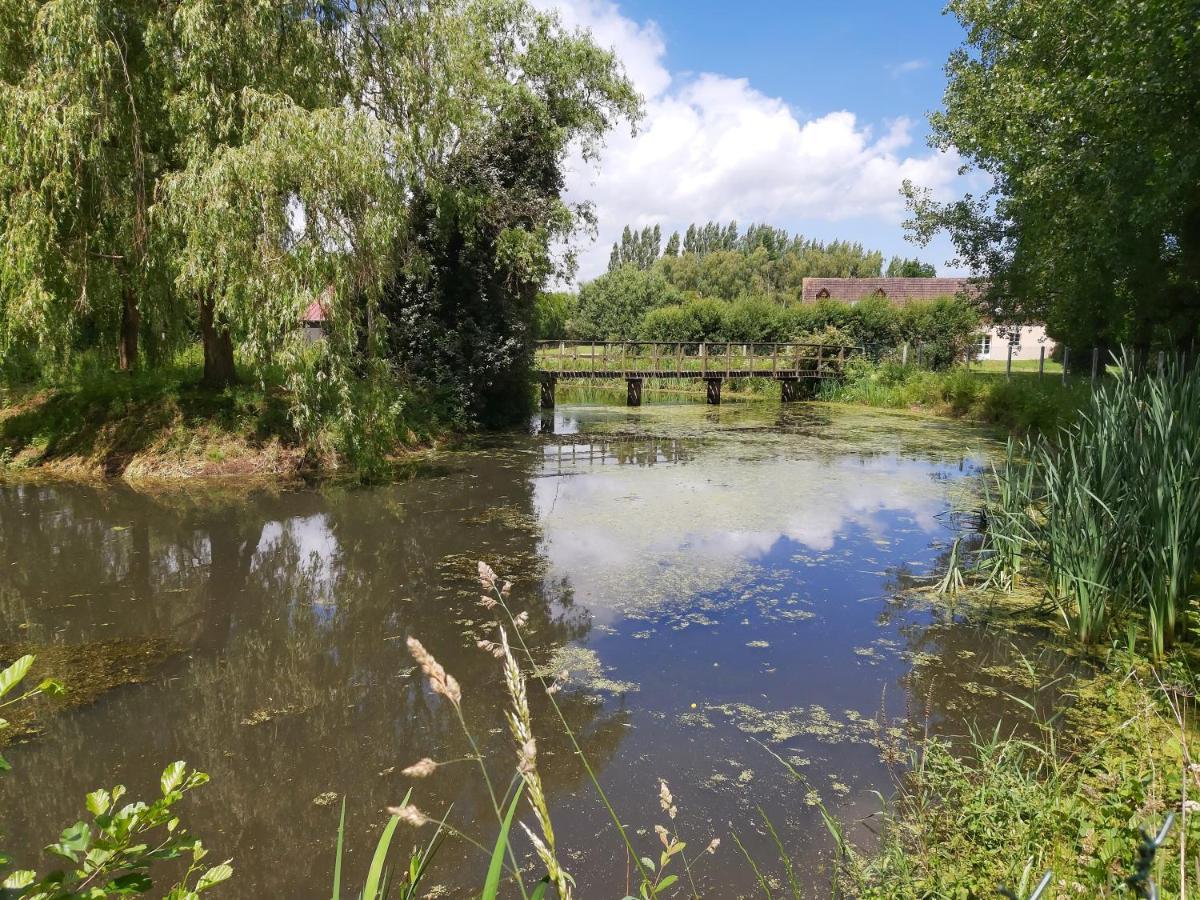 Le Bonheur Des Plumes Bed & Breakfast Montmartin-en-Graignes ภายนอก รูปภาพ